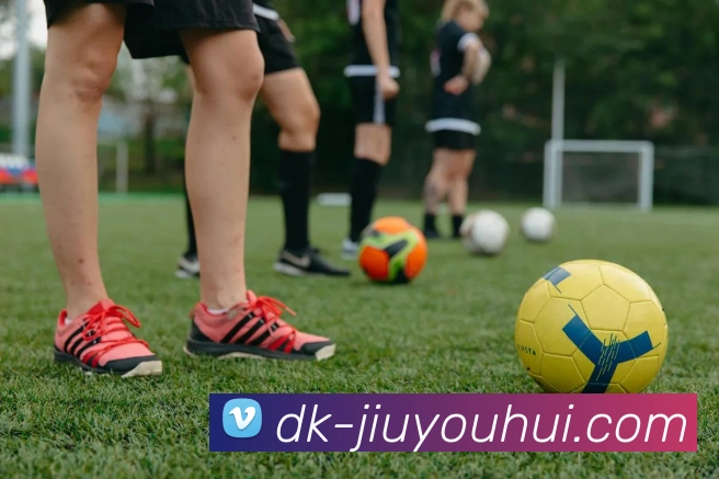 九游会J9官网APP 封面图